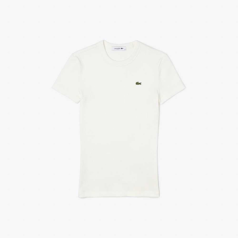 Lacoste Slim Fit Organic Cotton T-Shirt White | DOHQ-15832