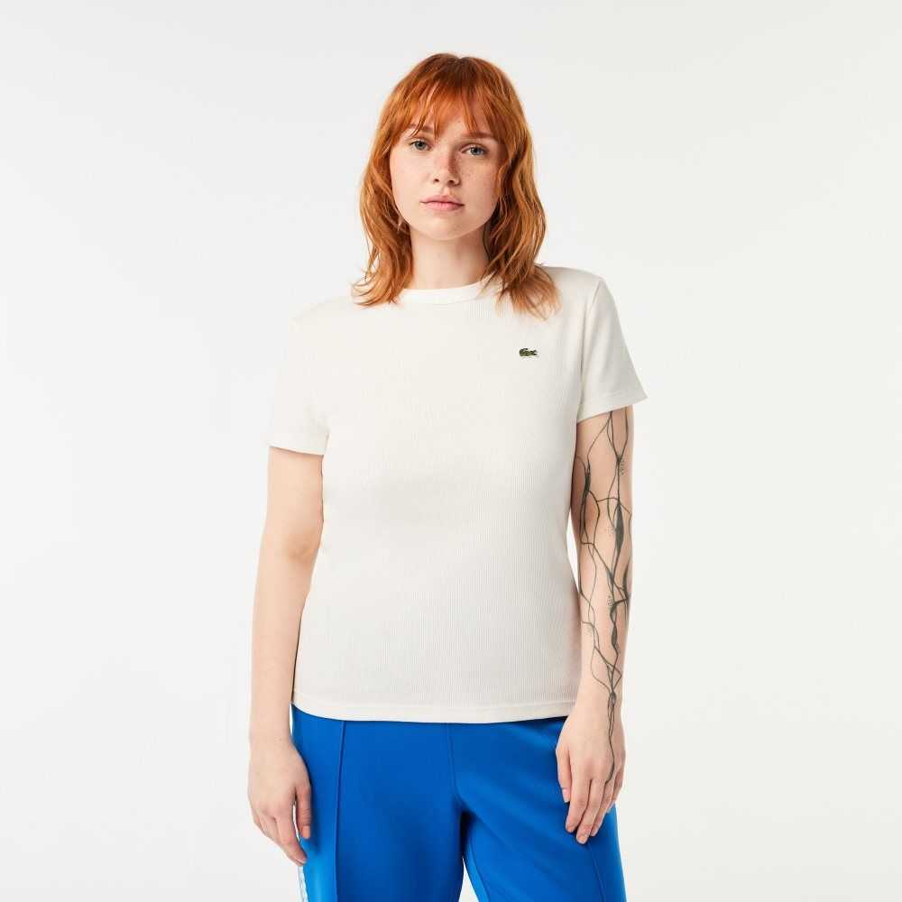 Lacoste Slim Fit Organic Cotton T-Shirt White | DOHQ-15832