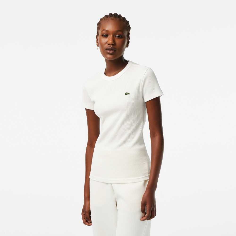 Lacoste Slim Fit Organic Cotton T-Shirt White | DOHQ-15832