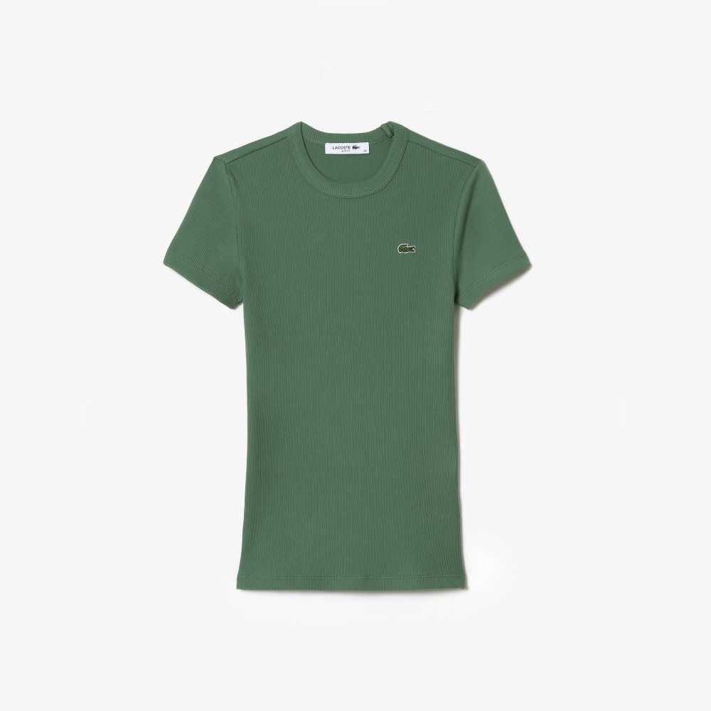 Lacoste Slim Fit Organic Cotton T-Shirt Khaki Green | RXIN-64789