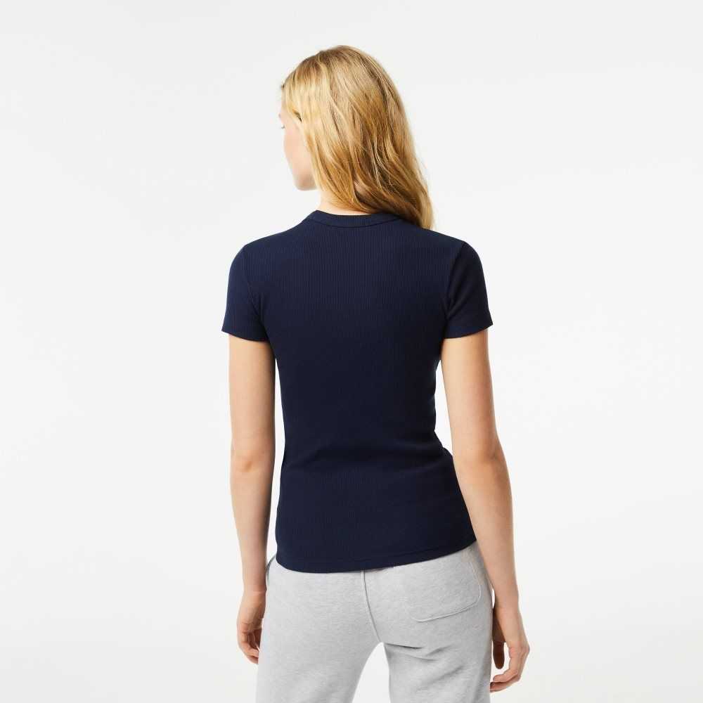 Lacoste Slim Fit Organic Cotton T-Shirt Navy Blue | SGUE-01256