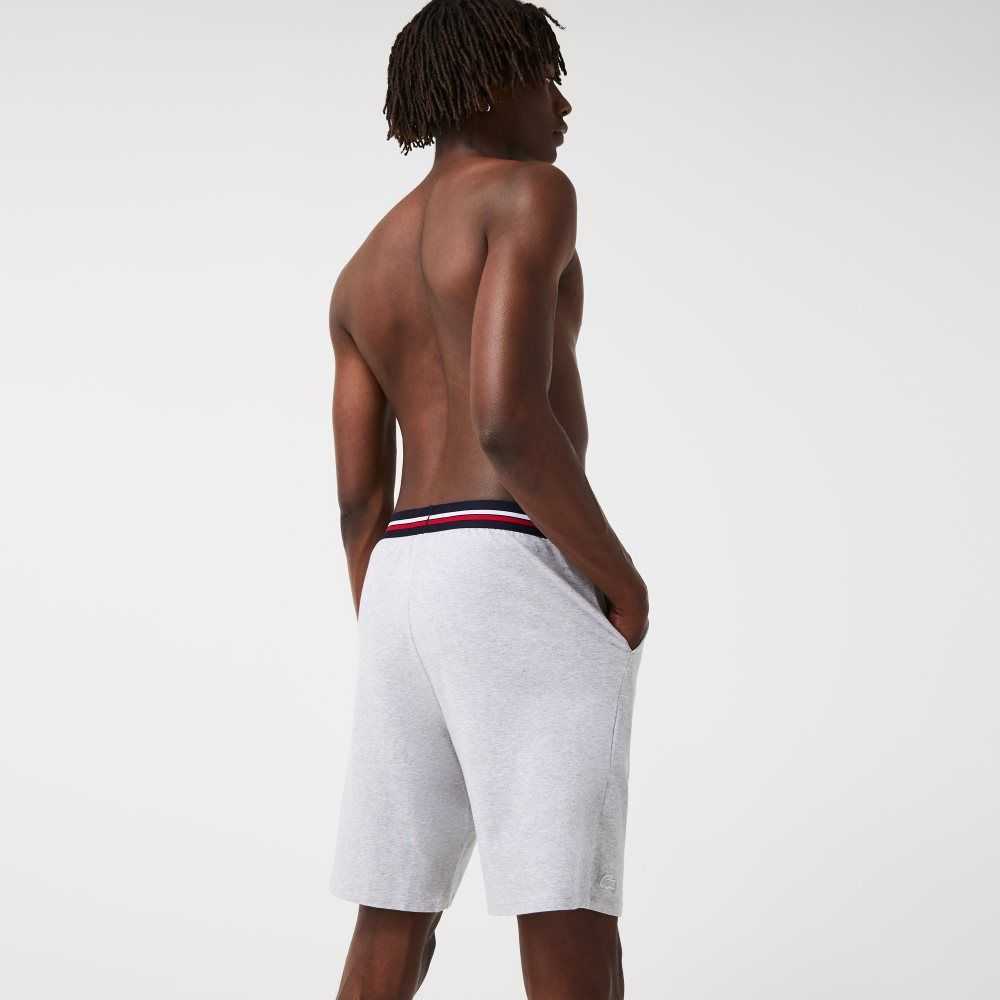 Lacoste Striped-Waist Long Boxer Briefs Grey Chine | CKMV-53906