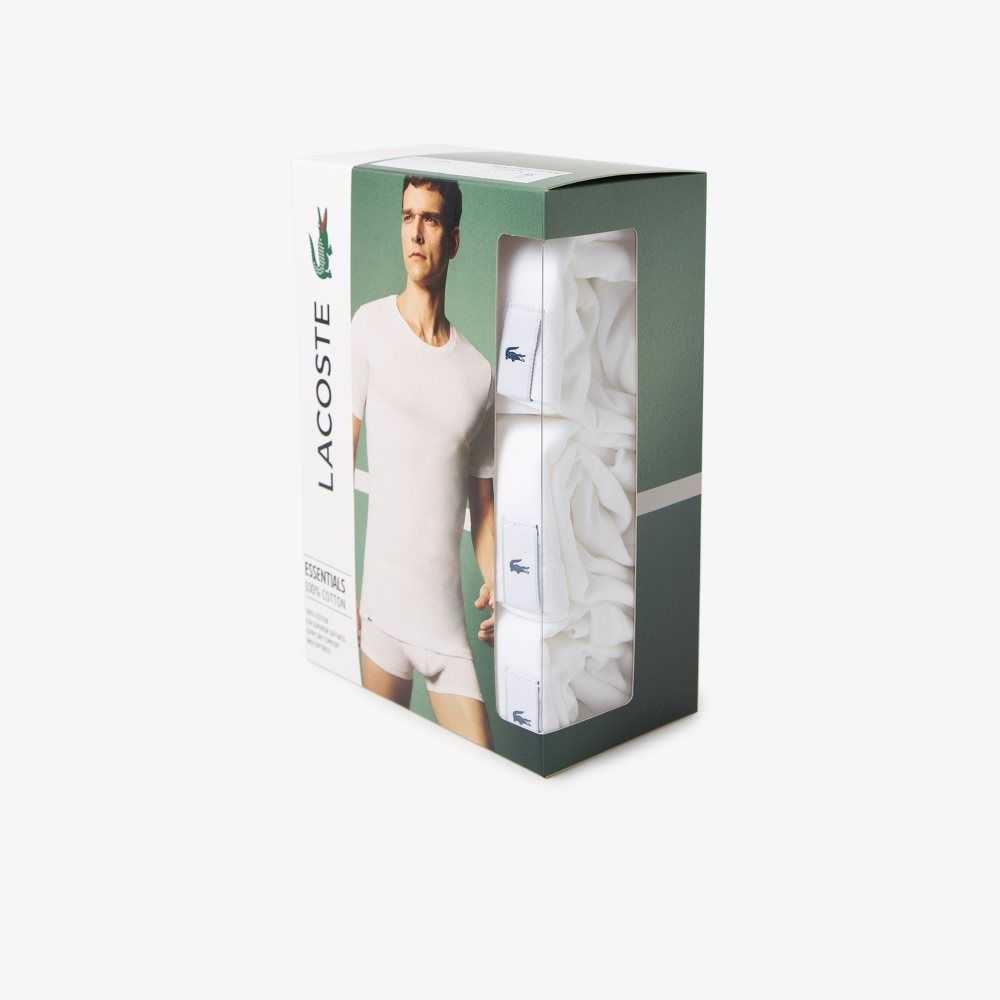 Lacoste T-Shirt 3-Pack White | NEXL-61845