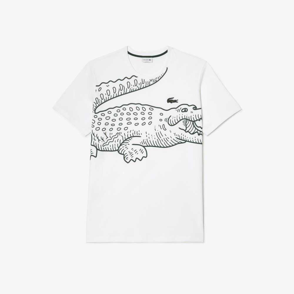 Lacoste Tall Fit Cotton T-Shirt White | DJIV-57846