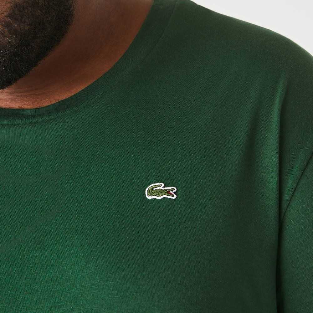 Lacoste Tall Fit Pima Cotton Jersey T-Shirt Green | FQNI-34271