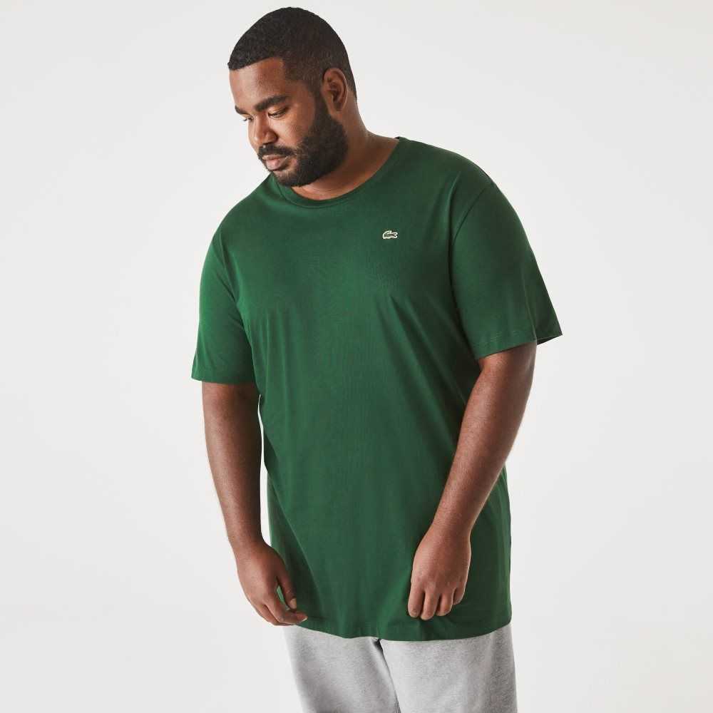 Lacoste Tall Fit Pima Cotton Jersey T-Shirt Green | FQNI-34271