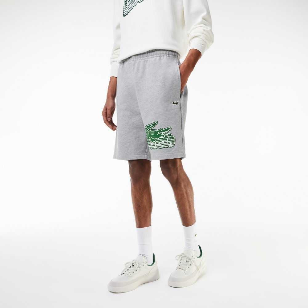 Lacoste Unbrushed Cotton Fleece Shorts Grey Chine | MPDU-24190